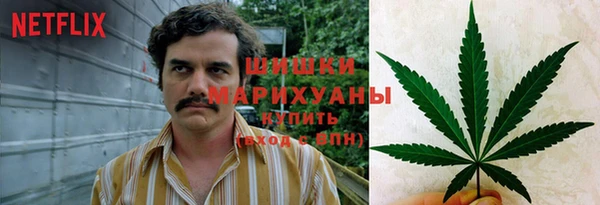Альфа ПВП Армянск
