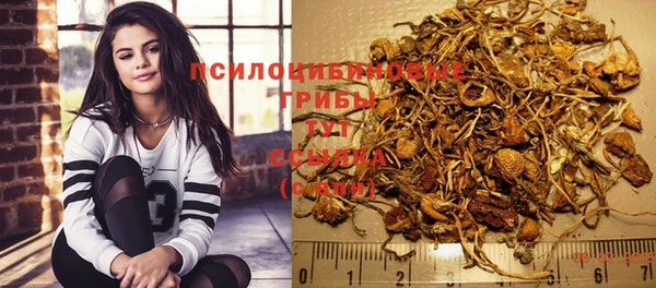 Альфа ПВП Армянск