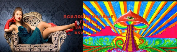 Альфа ПВП Армянск