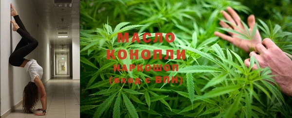 дмт Аркадак